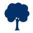 Baum