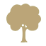 Baum